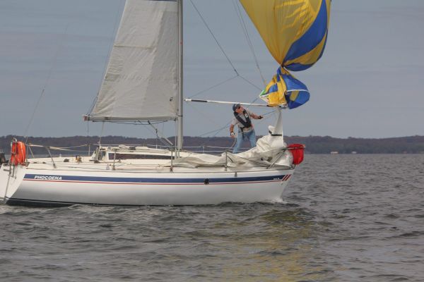 La solitaire – photo 24