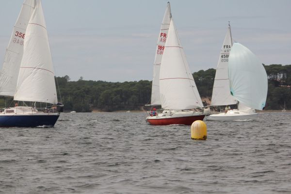 La solitaire – photo 30
