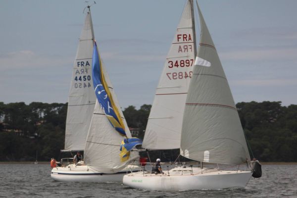 La solitaire – photo 21