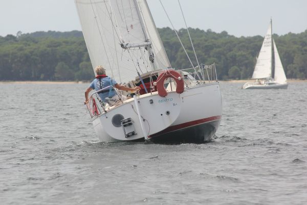 La solitaire – photo 15
