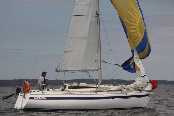 La solitaire – photo 25