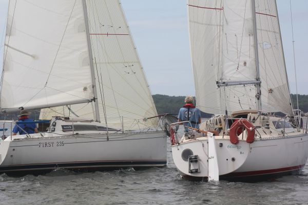 La solitaire – photo 10