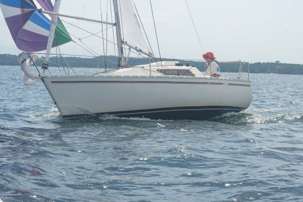 La solitaire – photo 7
