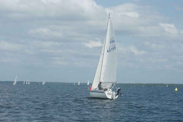 La solitaire – photo 8