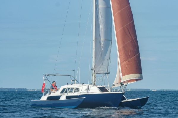 La solitaire – photo 21