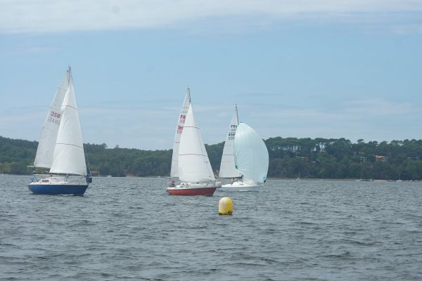 La solitaire – photo 2