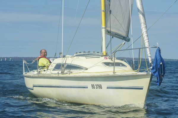 La solitaire – photo 15