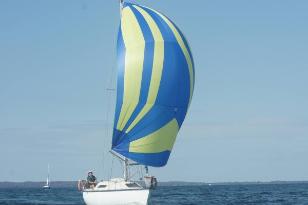 La solitaire – photo 16