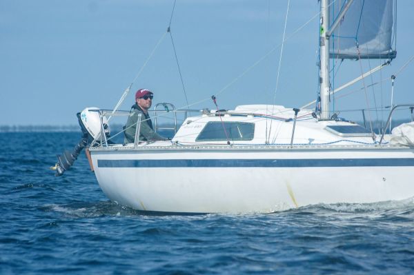 La solitaire – photo 23