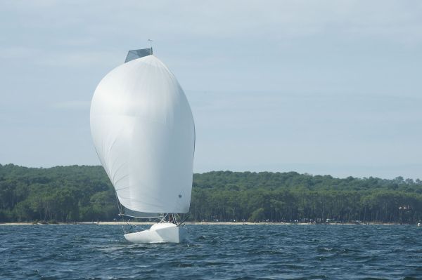 La solitaire – photo 11