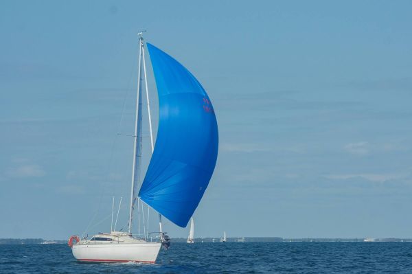 La solitaire – photo 20