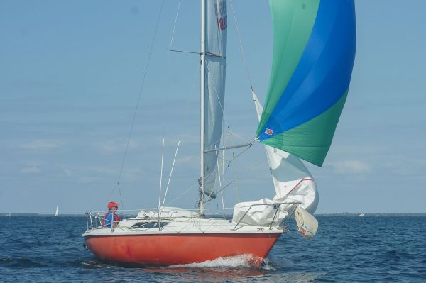 La solitaire – photo 18
