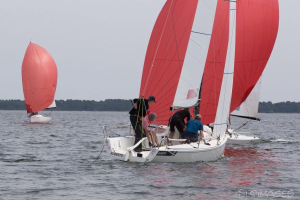Le trophée d'Ispe - J70 – photo 153