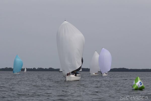 Le trophée d'Ispe - J70 – photo 149