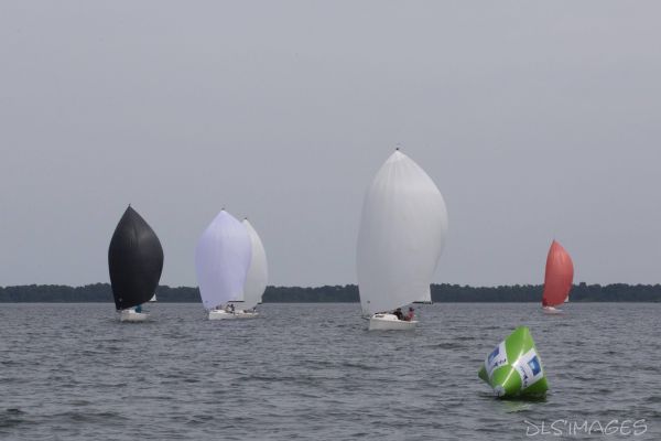 Le trophée d'Ispe - J70 – photo 148