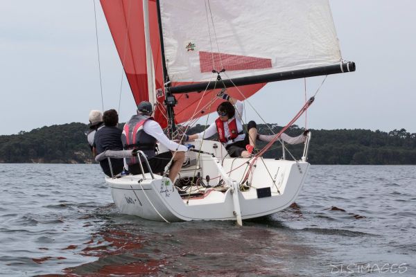 Le trophée d'Ispe - J70 – photo 213