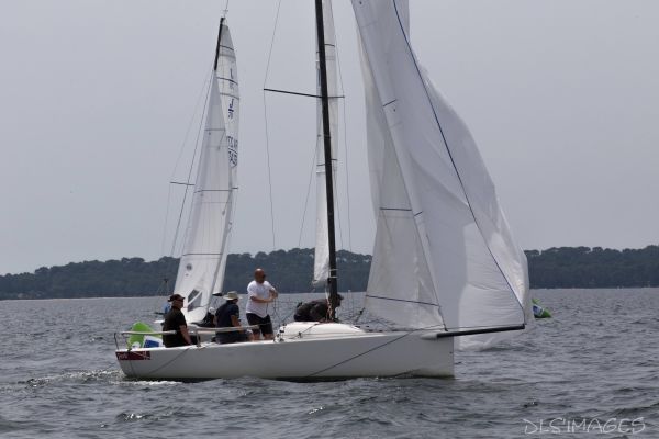 Le trophée d'Ispe - J70 – photo 129