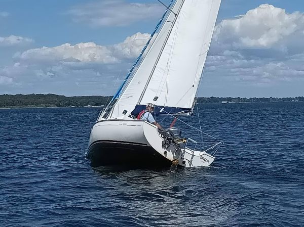 Coupe d'Ispe – photo 47