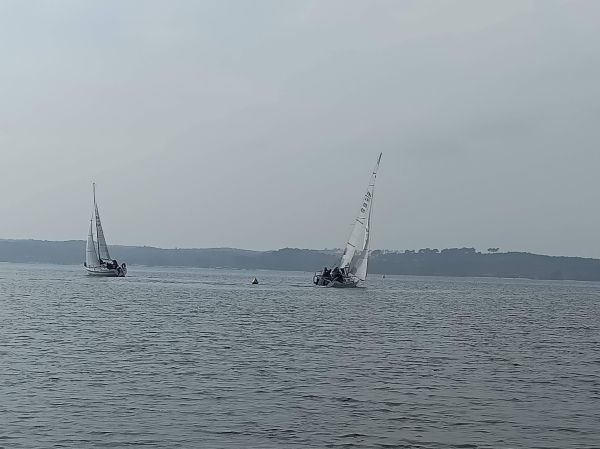 Championnat de pâques 1 – photo 15
