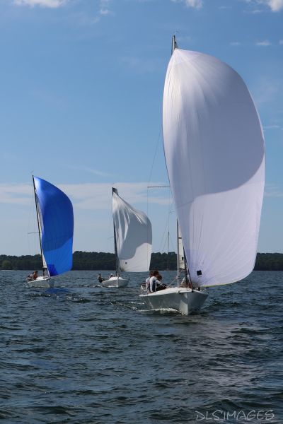 La régate du jeune régatier et du débutant – photo 8