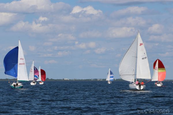 La régate du jeune régatier et du débutant – photo 66