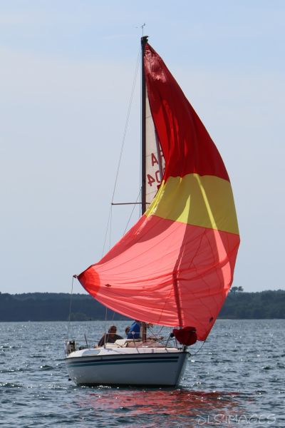 La régate du jeune régatier et du débutant – photo 58