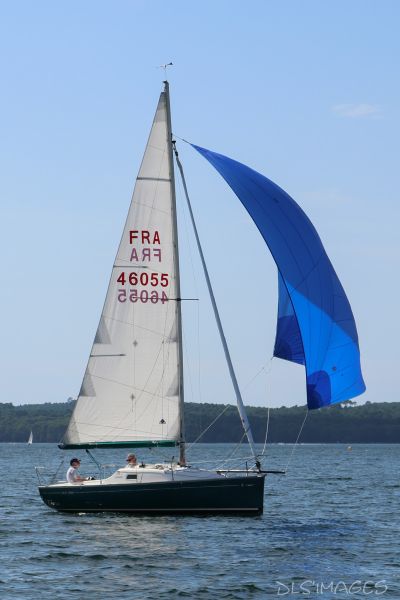 La régate du jeune régatier et du débutant – photo 59