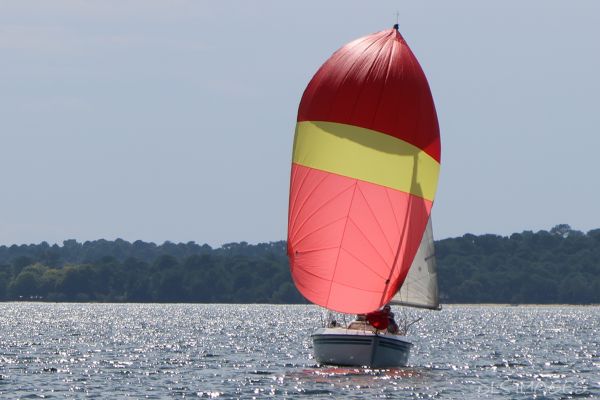 La régate du jeune régatier et du débutant – photo 55