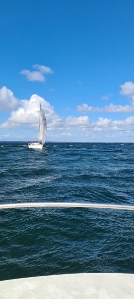 44 nouvelles photos – photo 41