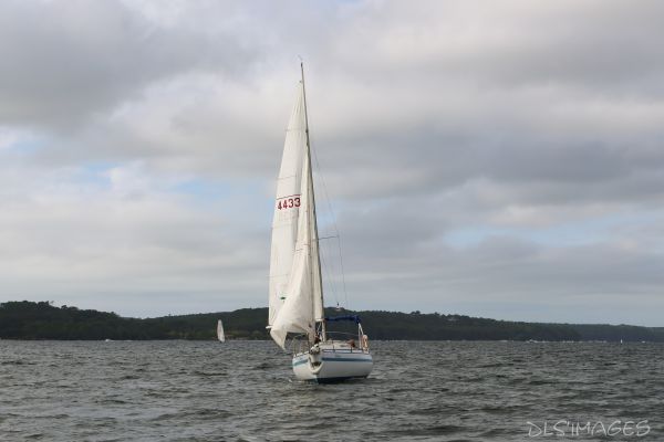 La Ducom – photo 38