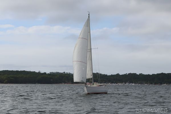 La Ducom – photo 39