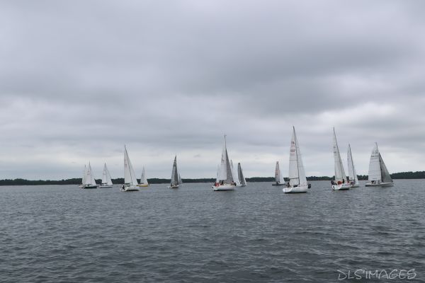 La Ducom – photo 4