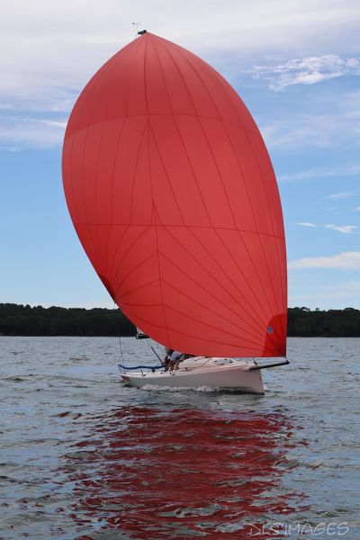 Coupe Ispe J70 – photo 31