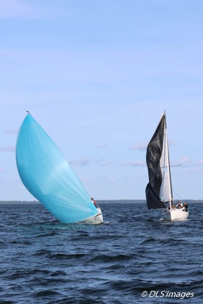 Trophée J/70 ISPE Biscarrosse – photo 129