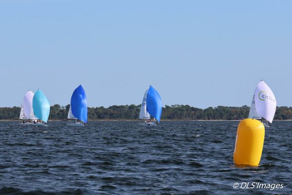 Trophée J/70 ISPE Biscarrosse – photo 81