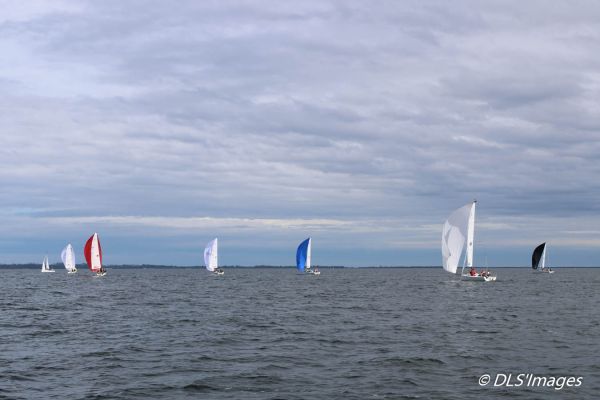 Trophée J/70 ISPE Biscarrosse – photo 186