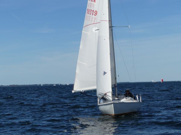 Jeunes et Débutants – photo 88