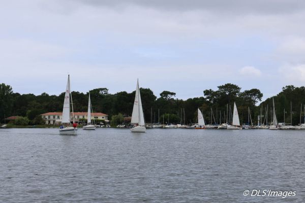 Femmes à la barre – photo 27