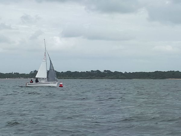 Orpi – photo 8