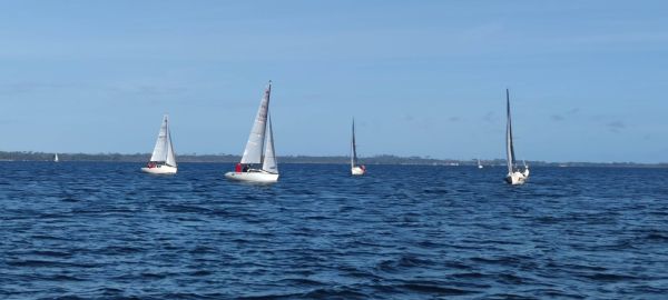 Biscarrosse Micro 2025 – photo 142