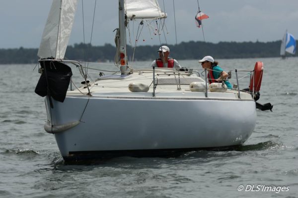 Femme à la barre 2025 – photo 53