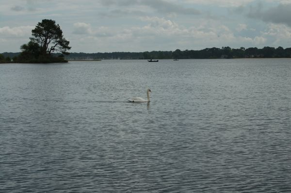 Coupe du Muguet 2025 – photo 7