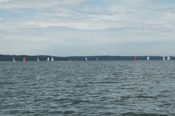 Coupe du Muguet 2025 – photo 49