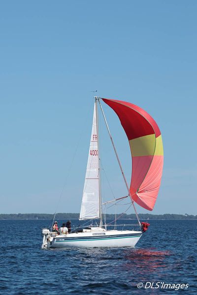 Journée du Jeune régatier et/ou du Débutant 2026 – photo 47