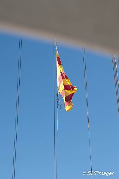 Journée du Jeune régatier et/ou du Débutant 2026 – photo 53